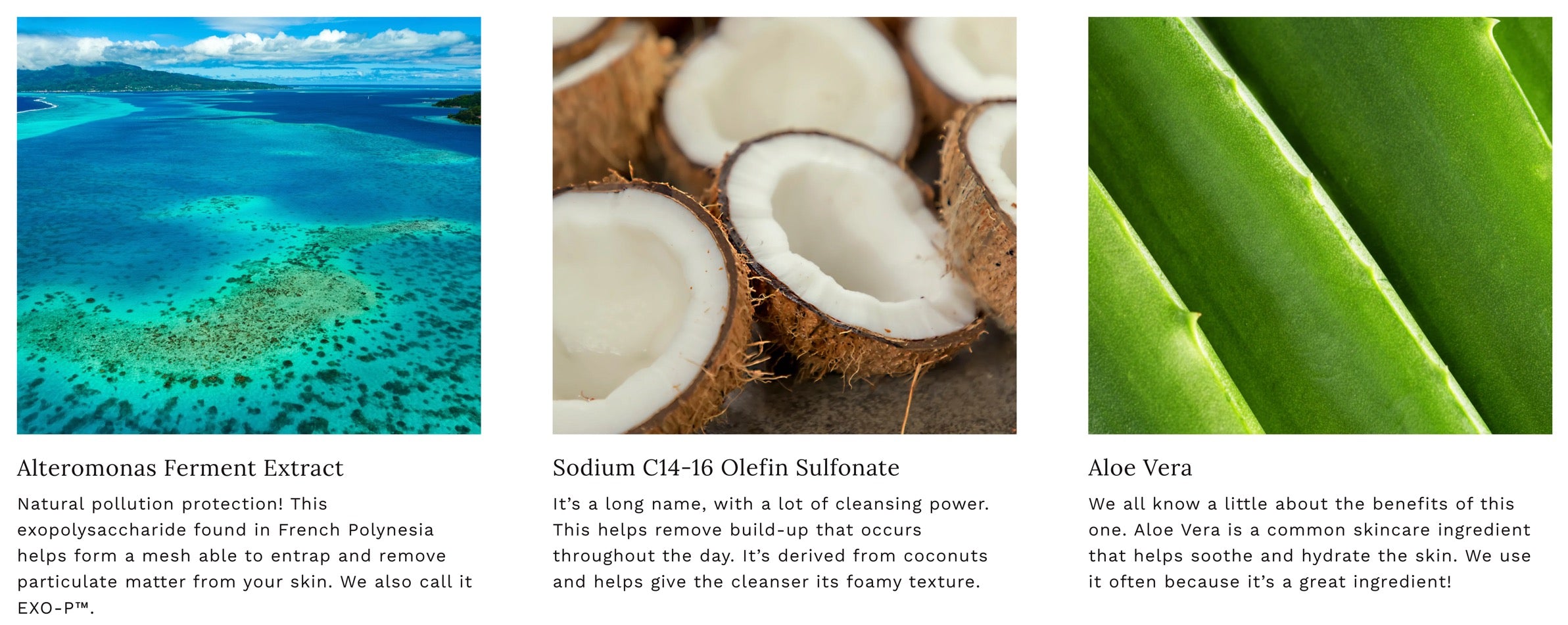 Face Serum Ingredients