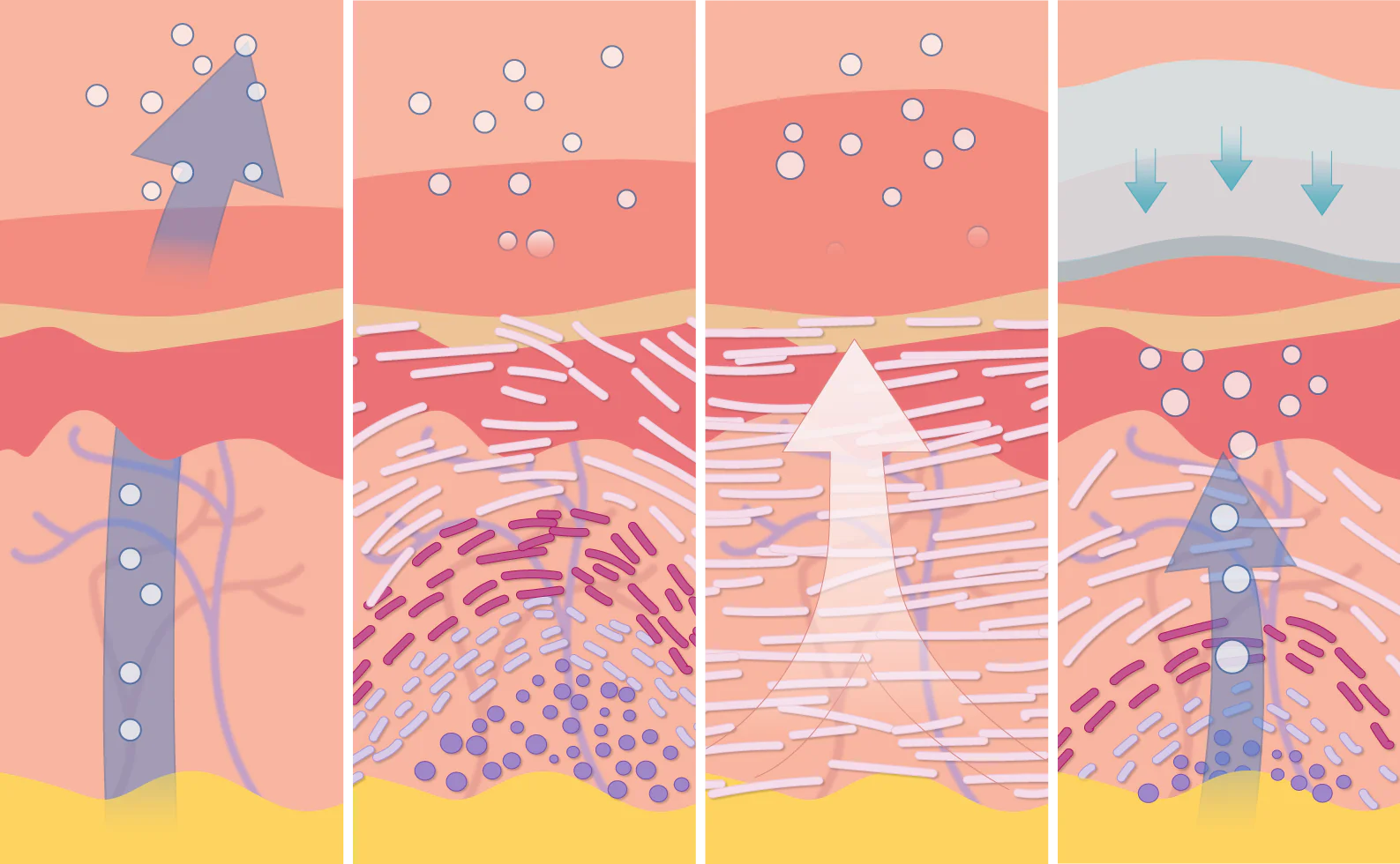 How Do Scars Develop The Everything Scar Guide